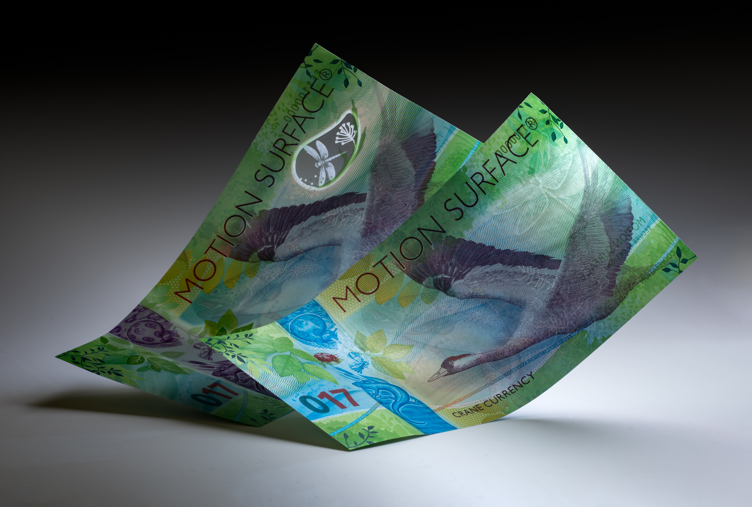 The housenote is printed on both paper and polymer. In transmitted light you can see the see-through window of the polymer note and the watermark of the paper note.